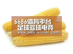 产品名称五
