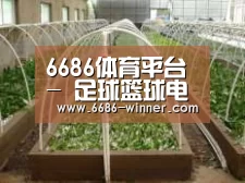 环境展示五