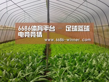 种植基地四