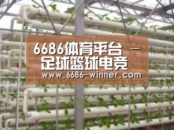 环境展示六