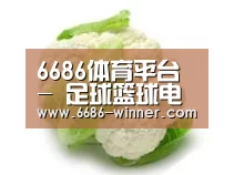 产品名称九