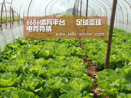 种植基地五