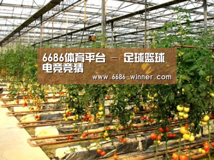 种植基地二(图1)