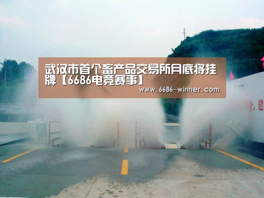 武汉市首个畜产品交易所月底将挂牌【6686电竞赛事】(图4) 6686电竞赛事