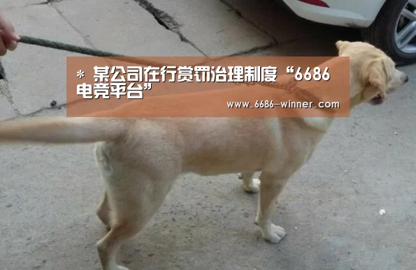 *
某公司在行赏罚治理制度“6686电竞平台”(图3) 6686电竞赛事