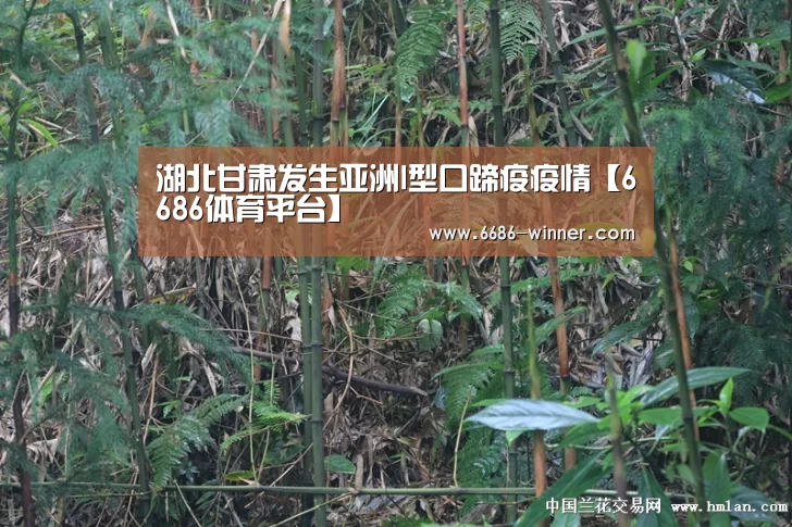 湖北甘肃发生亚洲I型口蹄疫疫情【6686体育平台】(图1) 6686电竞平台